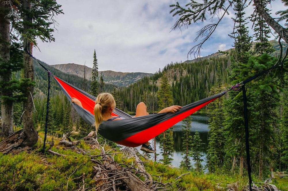 What Hammock in Project Management? - Widgets